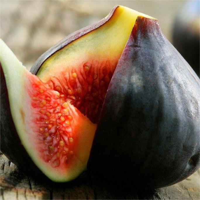 SweetHarvest figų sėklos-LT