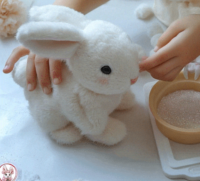 🐇Zeko – moja realna igračka zeko-HR