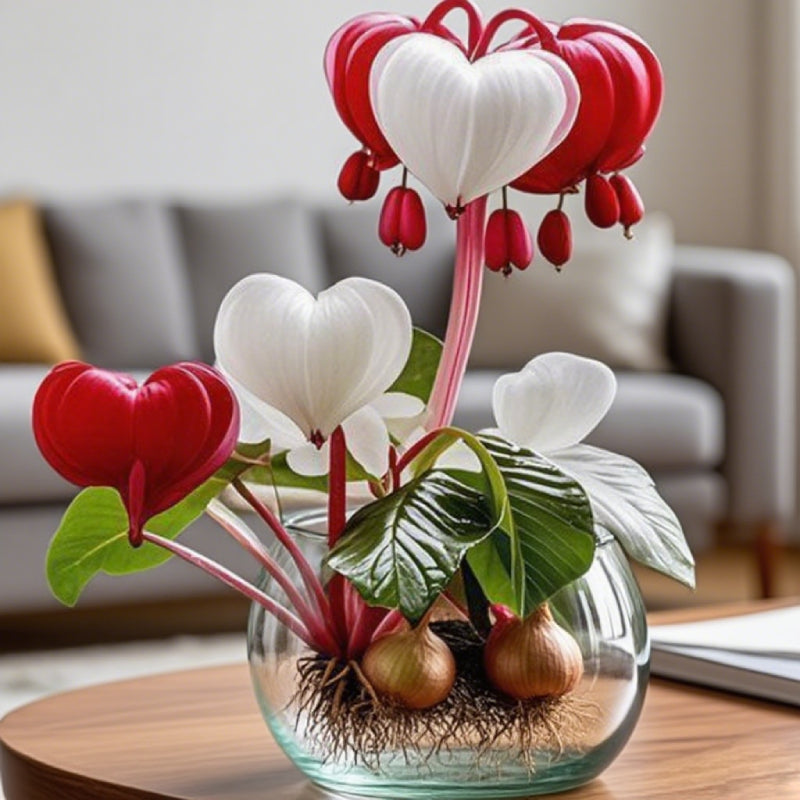 💕 Išpildykite savo norus: palinkėjimų svogūnėliai – žydintis stebuklas kiekvieniems namams🌷-LT