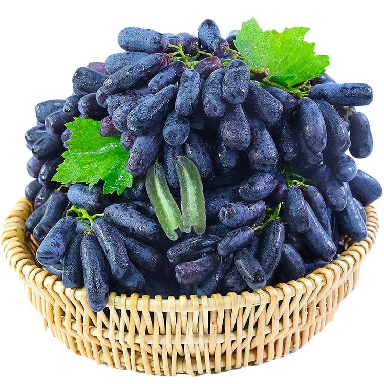 🔥 VIIMASE PÄEVA kampaania 30% SOODUSTUST 💜 Magus safiirviinamari (haruldased sõrmviinamarjad) 🍇-EE