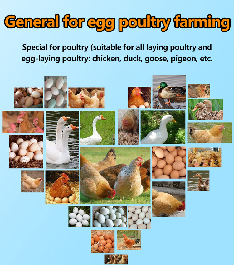 【2/4/6 kosov】 🦆🐓🦤Prehransko dopolnilo za proizvodnjo jajc piščancev, rac in gosi. Prehransko dopolnilo za hranjenje.-SI