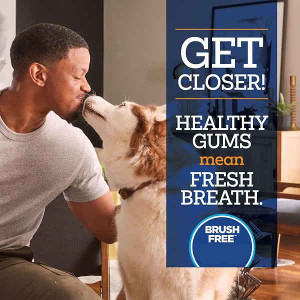Último día con 50% de descuento 🔥 Gel dental sin cepillado para perros-ES