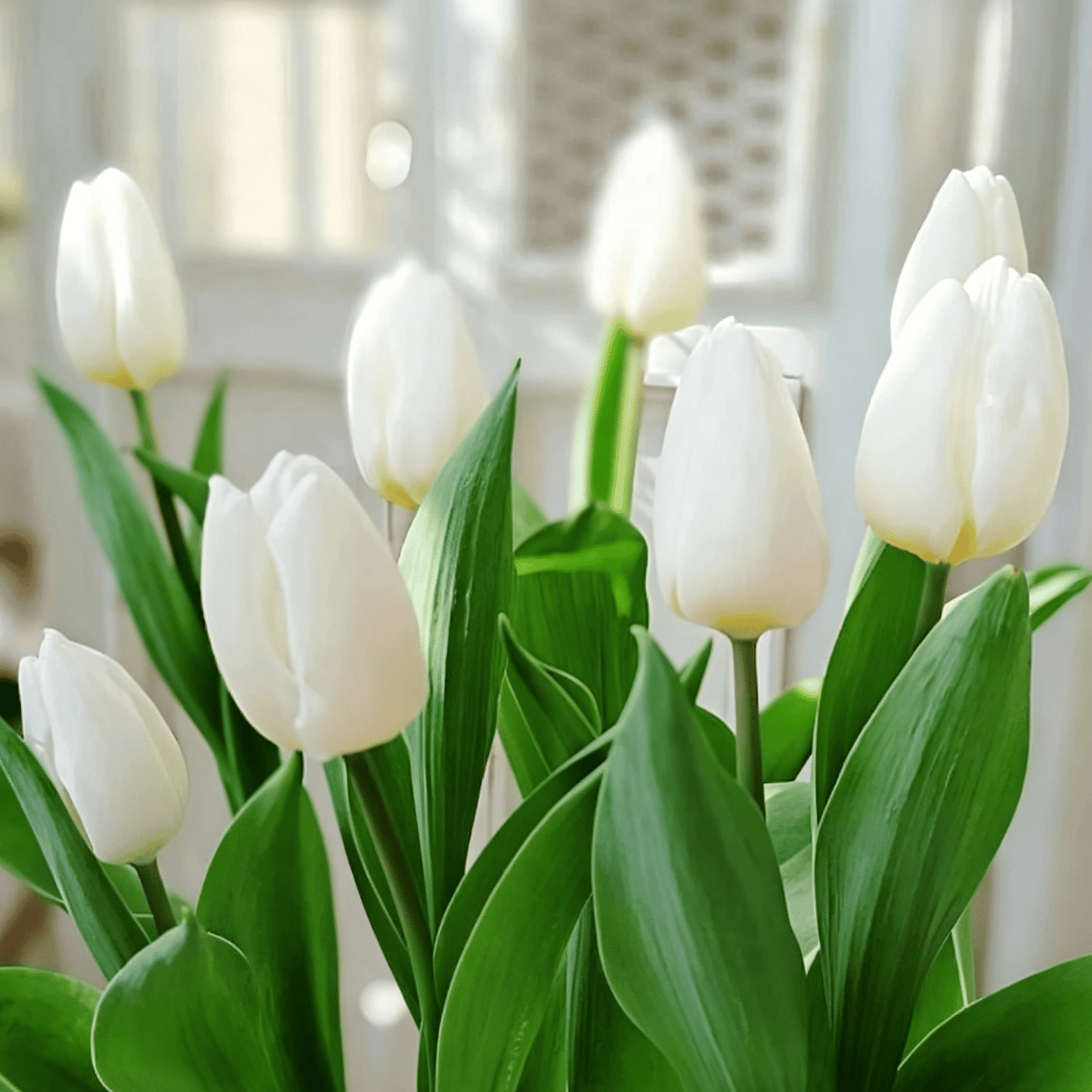 🌷Retos tulpių sėklos – spalvingi pavasario žiedai vazonams, apvadams ir sodams-LT
