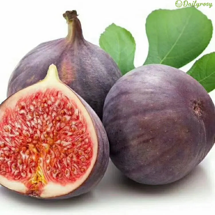 🍑Semillas de higo súper gigantes: llenas de dulzura de melocotón en cada bocado!🌟-ES