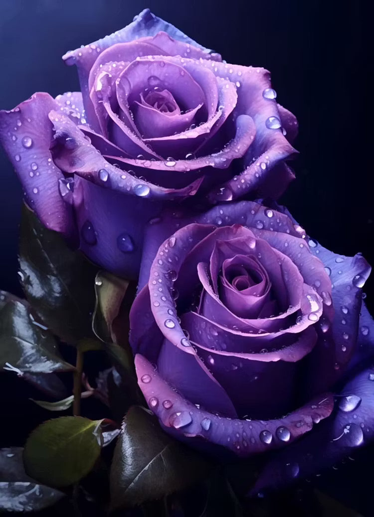 🟣 Una planta rara con una rosa de color púrpura oscuro: un arbusto perenne vivo.-ES