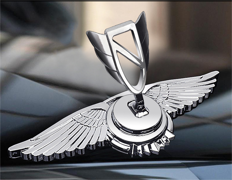 Decoración de modificación de coche con logotipo de capó-ES