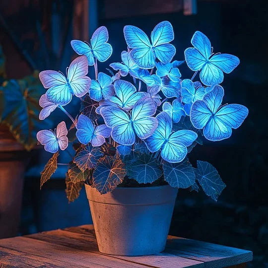 💥 Nové begónie 🦋 Semená motýľej begónie 🌱 Bonsaj, aký ste ešte nevideli-SK