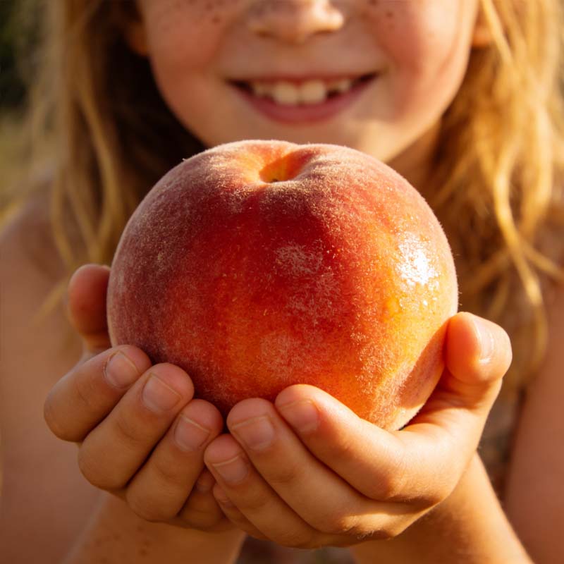🔥 ÜLE 65 000 MÜÜDUD! 🍑 Meepunase pärandkultuuri kääbusvirsiku seemned, elus-EE