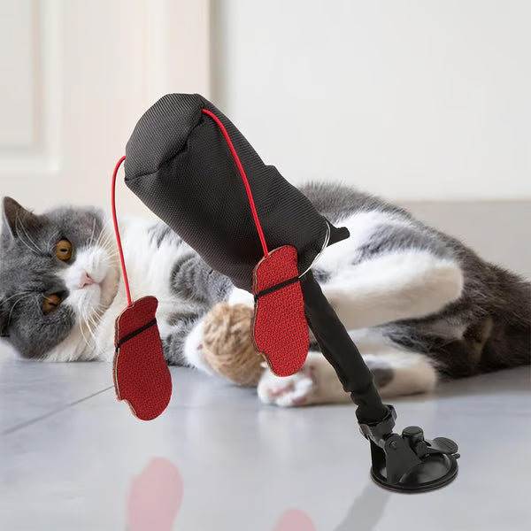 Διαδραστικό Παιχνίδι για Γάτες με Μορφή Τρένου-GR