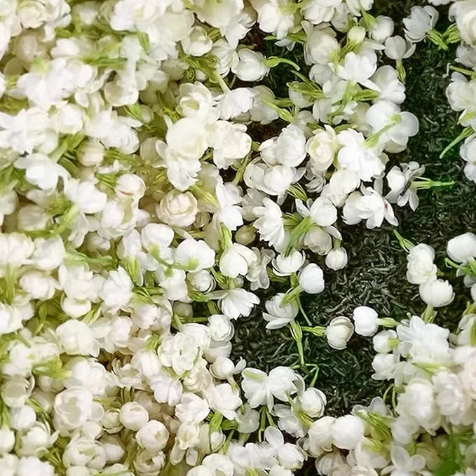 VIIMASE PÄEVA kampaania 35% SOODUSTUST 🌸 Jasmiini potitaim (🌱Ellujäämine garanteeritud: tasuta asendused🌿)-EE