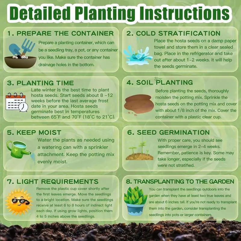 💥Καυτή Προσφορά 2025 🌌Σπόροι Hosta Midnight Blue Heart, ένα πολυετές φυτό που αγαπά τη σκιά για τον κήπο-GR