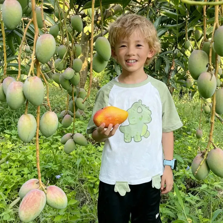 🥭 Baršunaste, slatke i sočne sadnice manga – osjetite okus tropa u vlastitom domu 🌴-HR