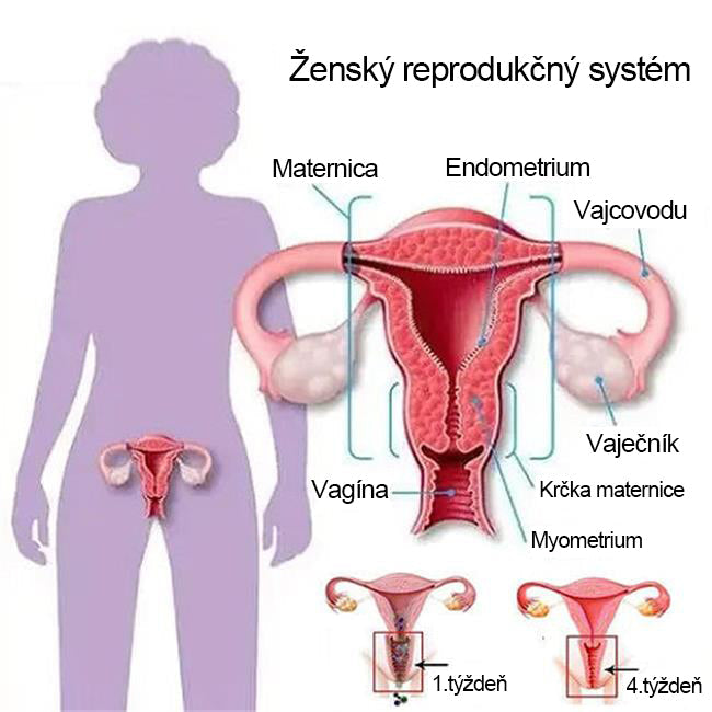 ✨Pērc vienu, saņem vienu bez maksas✨ ķermeņa formu veidojoša apakšveļa