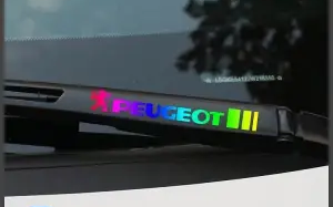 ÚLTIMA OFERTA 🎉50% DE DESCUENTO🎉Pegatinas creativas para limpiaparabrisas🎉4 PIEZAS🎉-ES