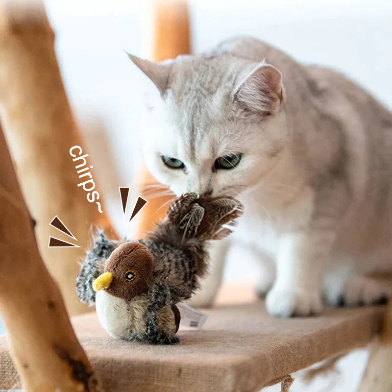 🐱 ATNAUJINTAS ŽAISLĖLIS KATEI SU SKRANDUOMIS🐦-LT