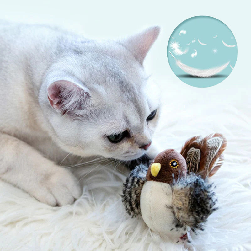 🐱 ATNAUJINTAS ŽAISLĖLIS KATEI SU SKRANDUOMIS🐦-LT