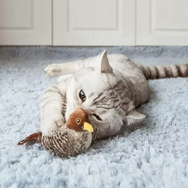 🐱 ATNAUJINTAS ŽAISLĖLIS KATEI SU SKRANDUOMIS🐦-LT
