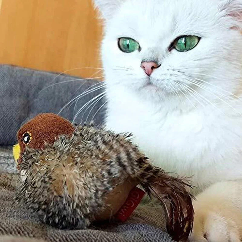 🐱 ATNAUJINTAS ŽAISLĖLIS KATEI SU SKRANDUOMIS🐦-LT