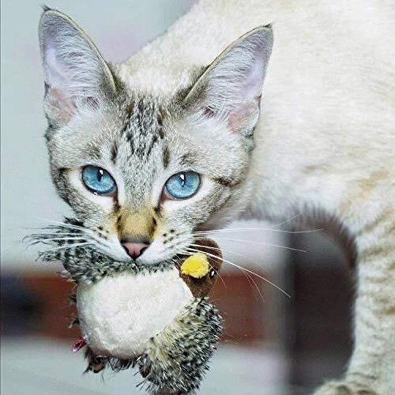 🐱 ATNAUJINTAS ŽAISLĖLIS KATEI SU SKRANDUOMIS🐦-LT