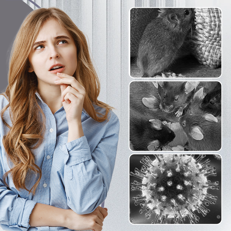 Εξαιρετικά μεγάλες παγίδες κόλλας για αρουραίους-GR