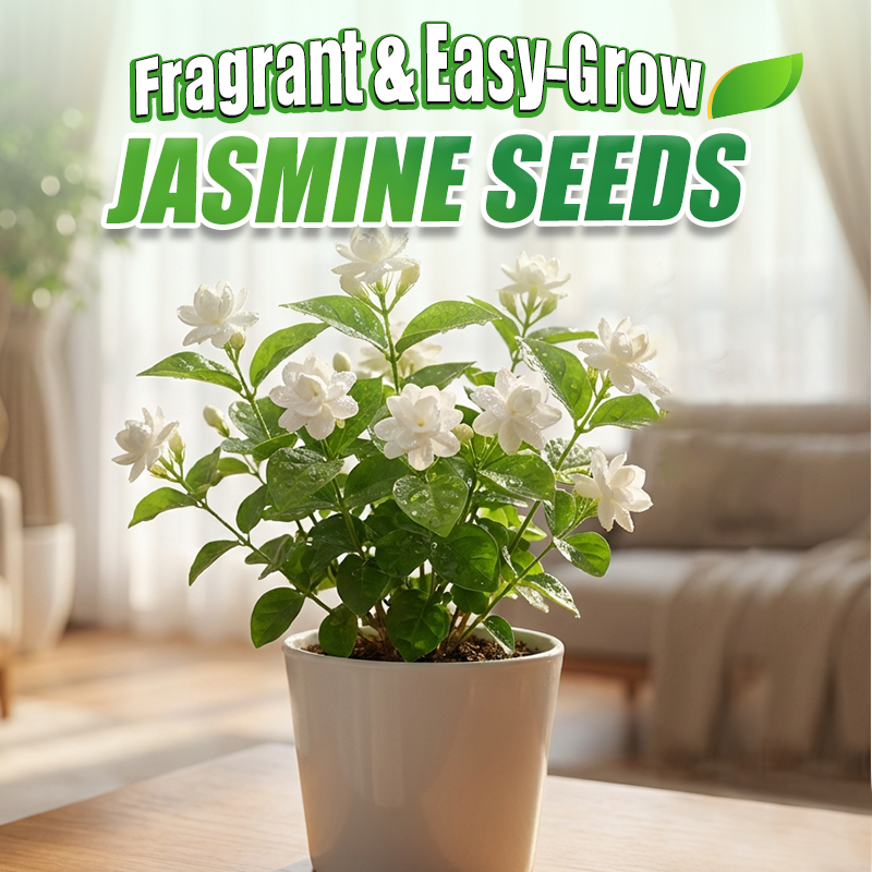 ✨🌸 Jazminų sėklos (su trąšomis): aromatingos ir lengvai auginamos🍃-LT