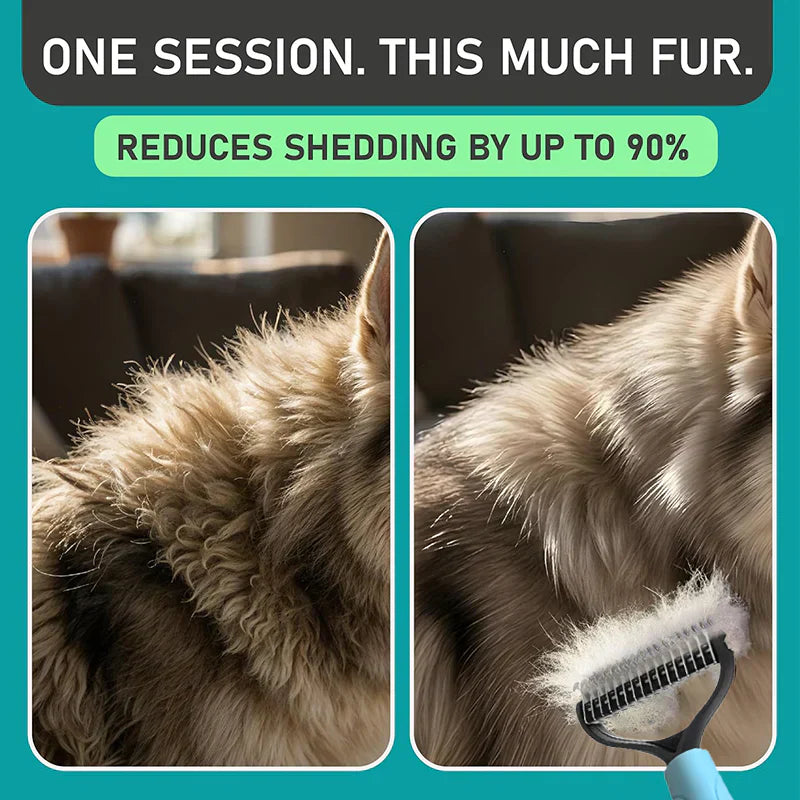 😺🐶1+1 gratis🧹 Dvostranski glavnik za mačke in pse🐾-SI